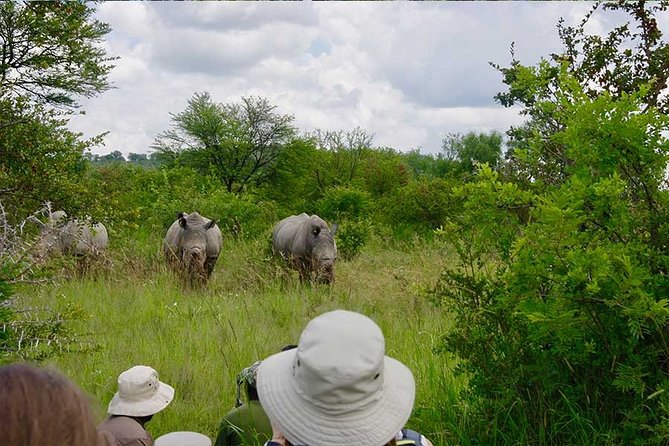 10 Day Zimbabwe and Chobe NP Tour - Key points before you book