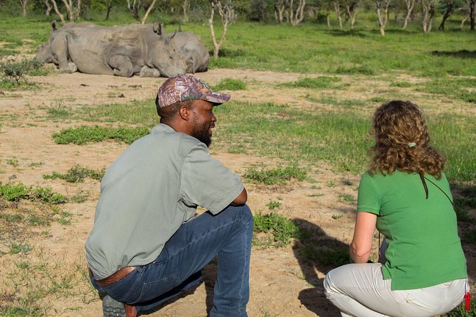 10 Day Zimbabwe and Chobe NP Tour - Hwange National Park and its famous elephants