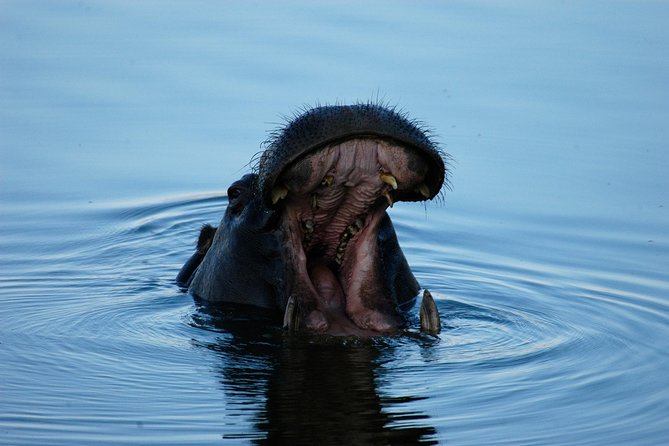 13 Days Best Of Zimbabwe - Day 2: Victoria Falls, then the road to Hwange