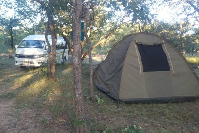 13 Days Best Of Zimbabwe - Days 3 and 4: Hwange wildlife and a useful pause