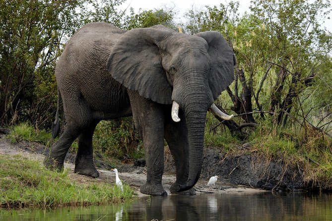 13 Days Best Of Zimbabwe - Day 10: Vumba’s gardens and mountain scenery