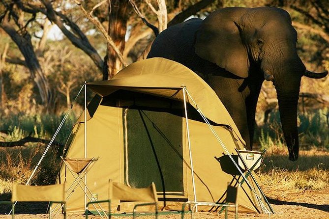 2-Day Camping Safari in Chobe National Park from Victoria Falls - A night in camp, with a little comfort