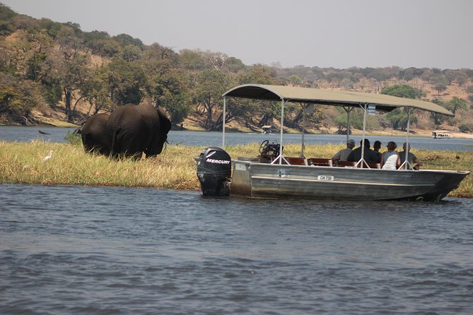2-Day Camping Safari in Chobe National Park from Victoria Falls - What the schedule feels like in practice
