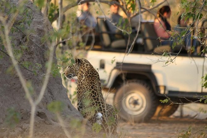 2-Day Camping Safari in Chobe National Park from Victoria Falls - Practical details before you pay $525