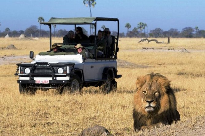2-Day Camping Safari in Chobe National Park from Victoria Falls - Two game drives and the search for big cats