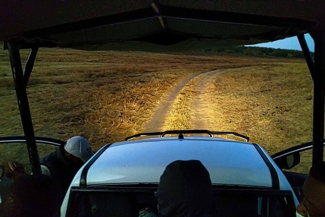 2 Hour Stargazing Tour in Victoria Falls NP Area in 4x4 - First hour: Victoria Falls National Park after dark