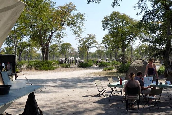 3 Day Chobe National Park Camping Safari - Day one: crossing into Chobe and settling into safari time