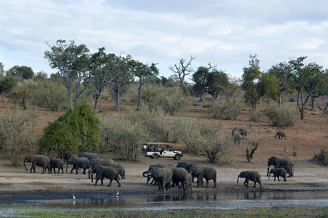 3 Day Chobe National Park Camping Safari - Day three: leaving Botswana with a final stop