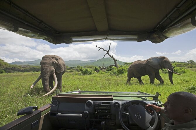 3-Day Victoria Falls Safari with Dinner Cruise - Who should book this experience