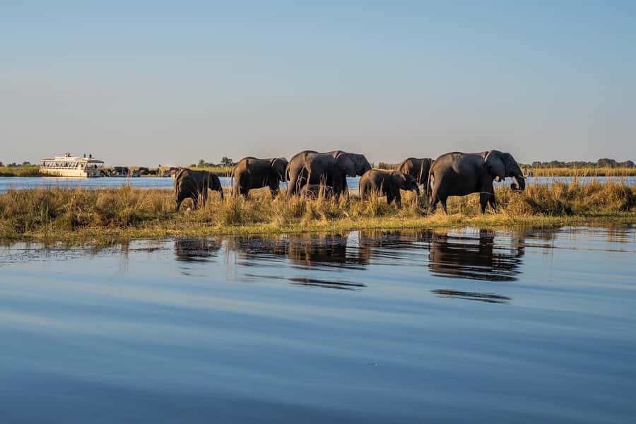 3 Days Explore Zambia, Zimbabwe and Chobe Park in Botswana - Why this three-country route works