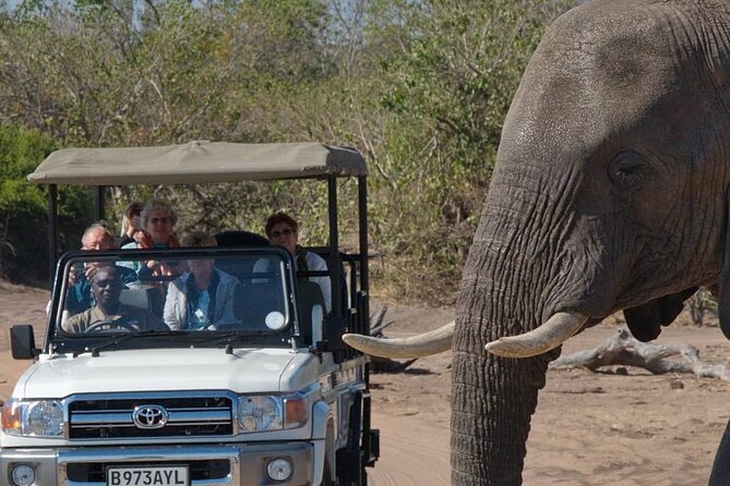 3 Days in Victoria Falls & Chobe National Park Combo - Day one begins in the Victoria Falls rainforest