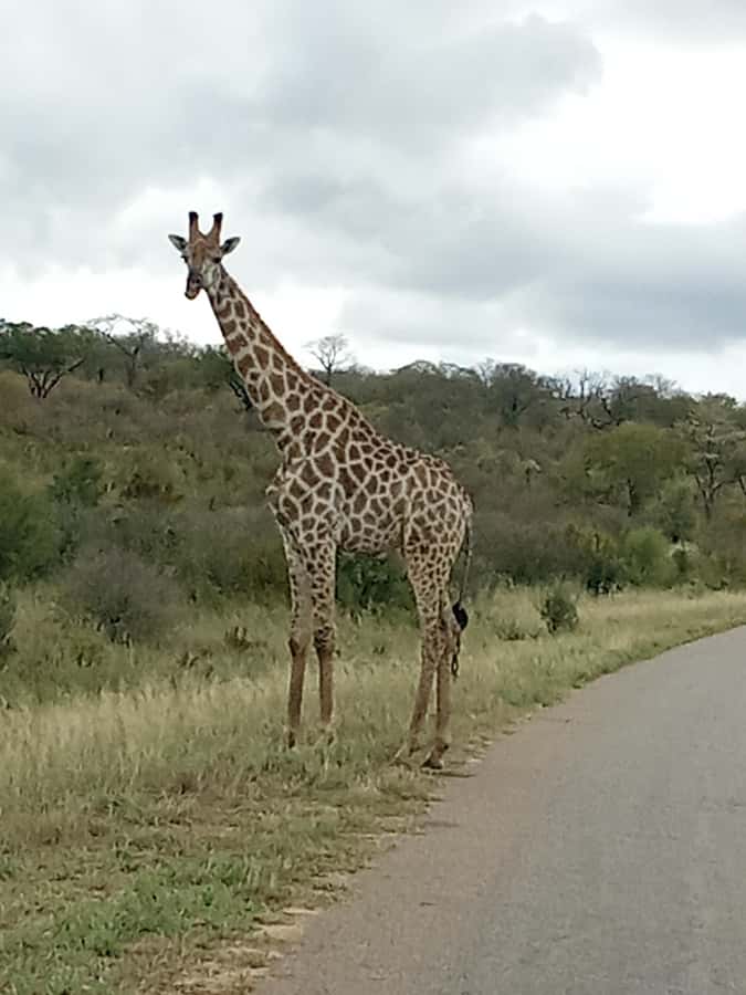 3 Days Victoria Falls and Full day Chobe National Park - Weather, gear, and border preparation