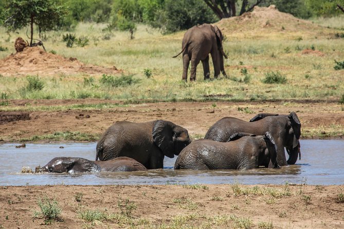 4-Day Discover Victoria Falls, Chobe and Hwange Park - Day 3: Hwange through rural Zimbabwe