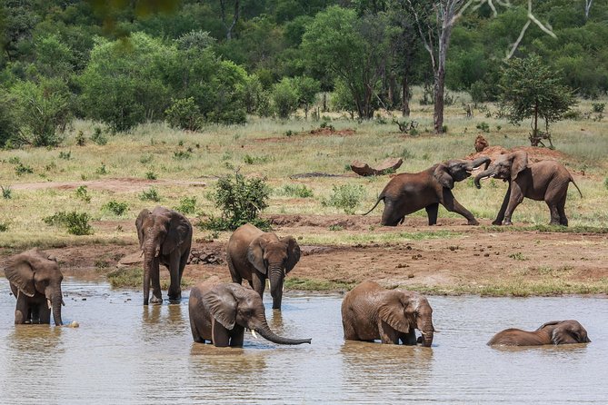 4-Day Discover Victoria Falls, Chobe and Hwange Park - Day 4: A short final stop before departure