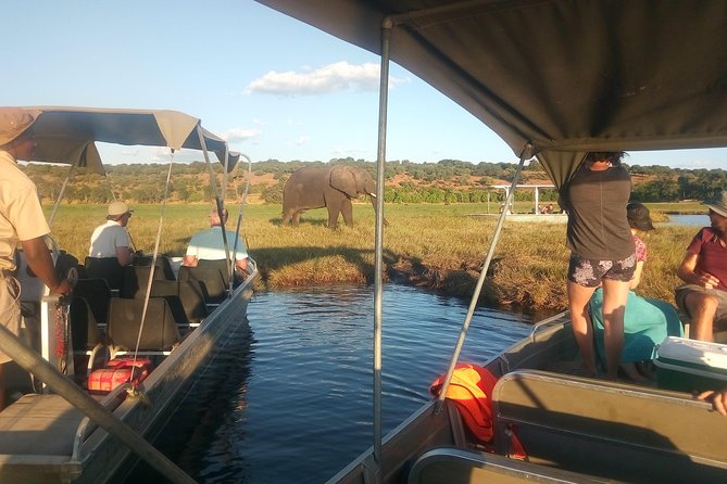 4-Day Discover Victoria Falls, Chobe and Hwange Park - Who should book this experience?