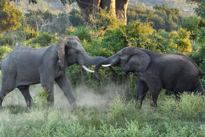 4 Days Victoria Falls Safari Tour & Chobe National Park game drive - What the $1,850 price really covers