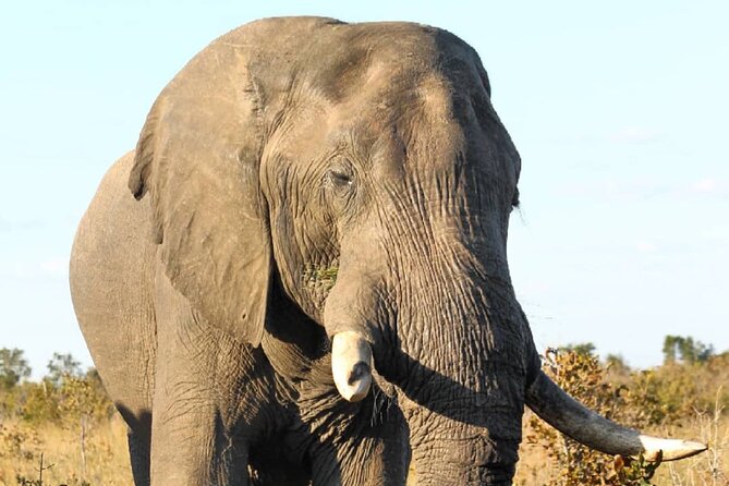 4 Days Victoria Falls Safari Tour & Chobe National Park game drive - Day 1: A 4:00 p.m. Zambezi sunset cruise