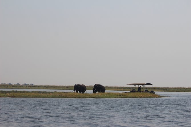 5-DAY Victoria Falls and Chobe National Park - Day 5: a flexible morning before your flight