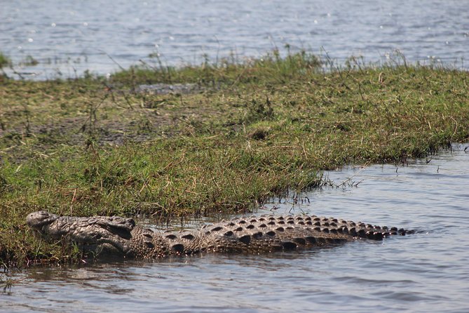 5-DAY Victoria Falls and Chobe National Park - Who will get the most from this tour