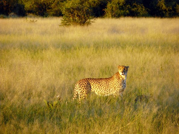 5 Day Victoria Falls and Chobe National Park Camping Tour - Who will enjoy this tour most