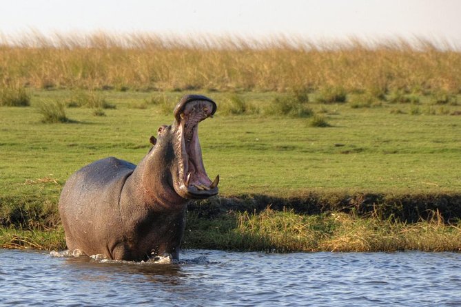 5 Day Victoria Falls and Chobe National Park Luxury Accommodated Tour - Day two: walking through the Victoria Falls rainforest