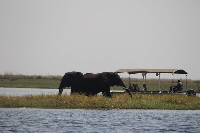 5-DAY Victoria Falls and Chobe National Park - Day 2: walk the falls, then visit a working village