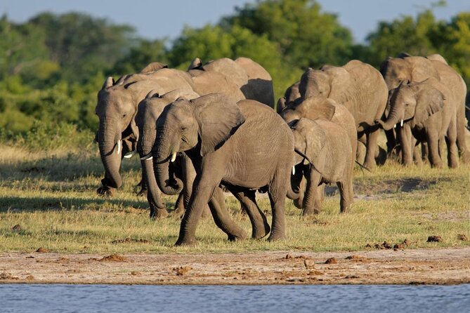 5 Day Victoria Falls and Hwange National Park Accommodated Safari Tour - Why this Zimbabwe pairing works