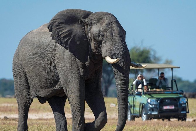 5 Day Victoria Falls and Hwange National Park Accommodated Safari Tour - The human side of the arrangements