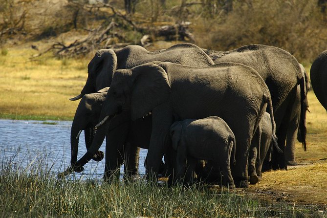 5 Day Victoria Falls and Hwange National Park Accommodated Safari Tour - Fitness, timing, and who will enjoy it