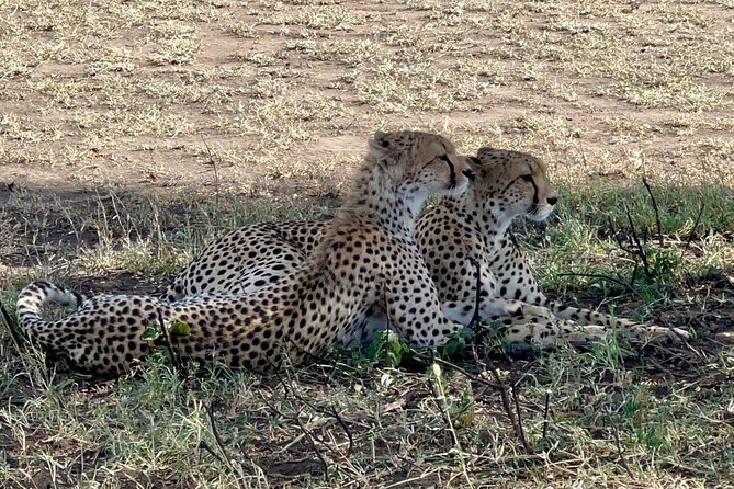 5-Day Visit Zimbabwe, Zambia, Botswana & Namibia Island - A four-country route built around Victoria Falls