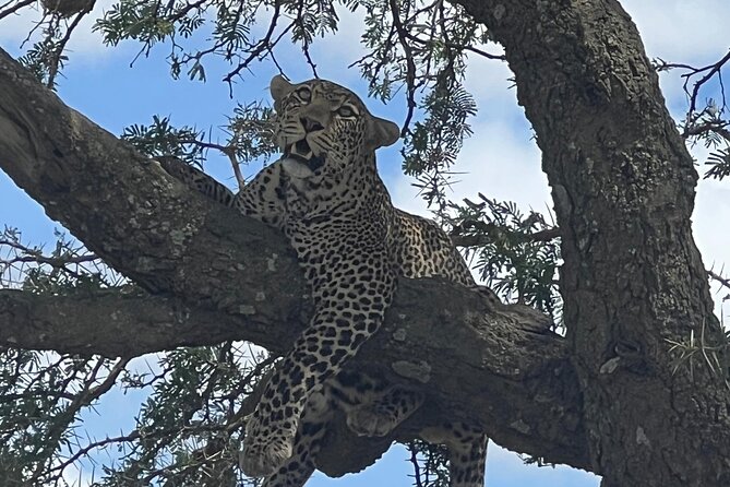 5-Day Visit Zimbabwe, Zambia, Botswana & Namibia Island - Day two: Victoria Falls from Zimbabwe and Zambia