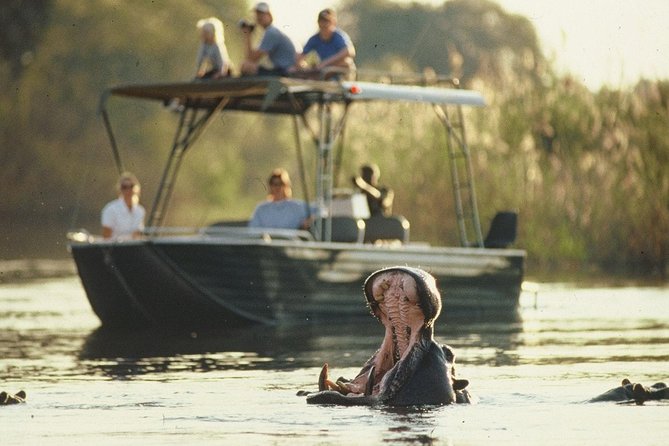 6-day Hwange, Chobe & Victoria Falls Combo - Days 2 and 3: Two full days inside Hwange National Park