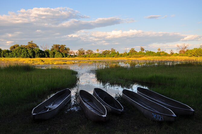 6 Days Victoria Falls Chobe Wildlife and Okavango Delta Tour - From Victoria Falls to Botswana’s Chobe River