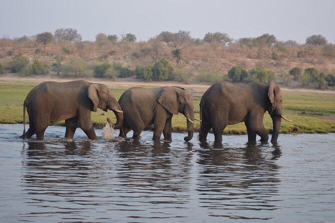 6 Days Victoria Falls Chobe Wildlife and Okavango Delta Tour - A mokoro into the Okavango Delta