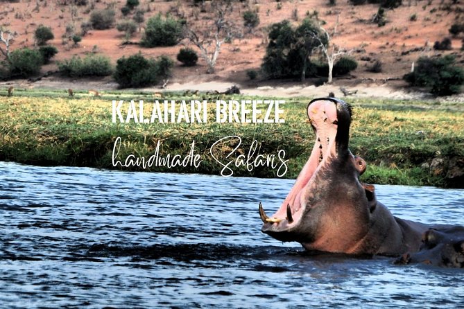 7 Day Highlights Of Botswana Overland Tour – ACCOMODATED (midrange) - Day 7: Airport transfer in Maun