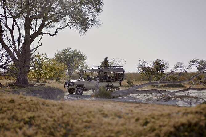 8 Day Chobe NP, Elephant Sands, Okavango Delta & Victoria Falls - The big picture: four famous African experiences in eight days