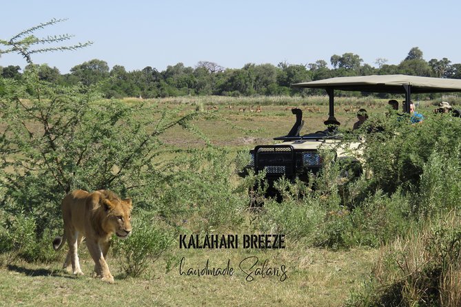 8 Day Highlights Of Botswana & Victoria Falls Overland Tour - Reaching the Okavango Delta takes time, but rewards patience