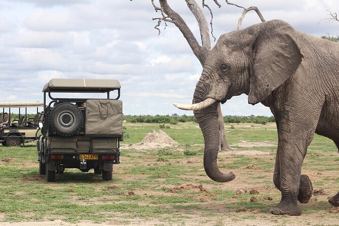 A 2 Day Victoria Falls & Chobe Safari Combo - The three-hour Chobe River safari