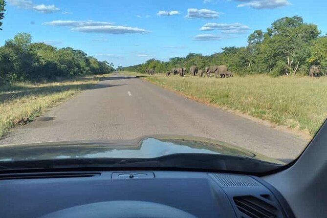 Airport, Hotel and local transfers in Victoria Falls - The airport road and its wildlife views