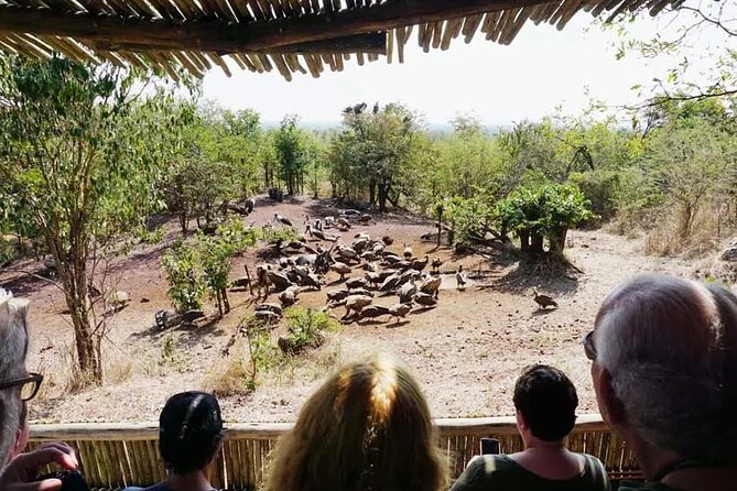 Baobab-Sunrise-Sunset-Vulture-Moonlight Safaris, 4 Options - Why this feels different from a standard Victoria Falls outing