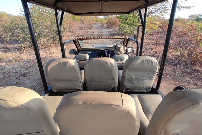 Baobab-Sunrise-Sunset-Vulture-Moonlight Safaris, 4 Options - Choosing between sunrise, sunset, vultures, and moonlight