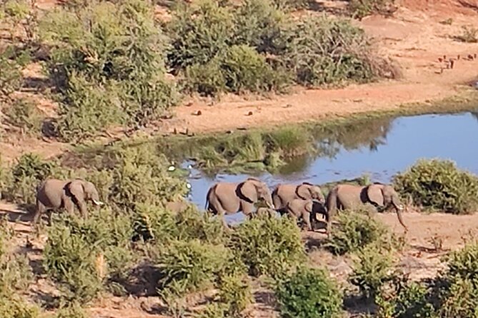 Baobab-Sunrise-Sunset-Vulture-Moonlight Safaris, 4 Options - What the small group and vehicle mean