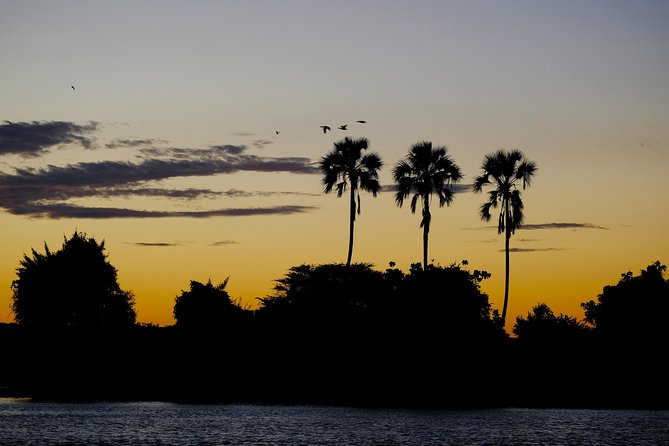 Birdwatching Cruise in Zambezi River with Breakfast - Who will enjoy this cruise most