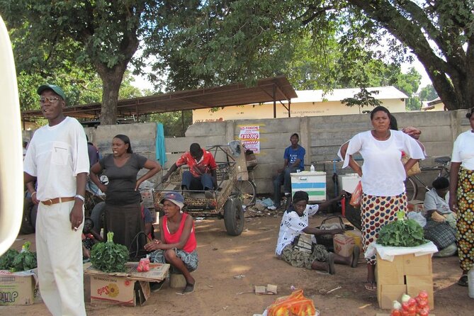 Chinotimba Township Tour (Zimbabwe) - Two hours, with transport rather than a long walk