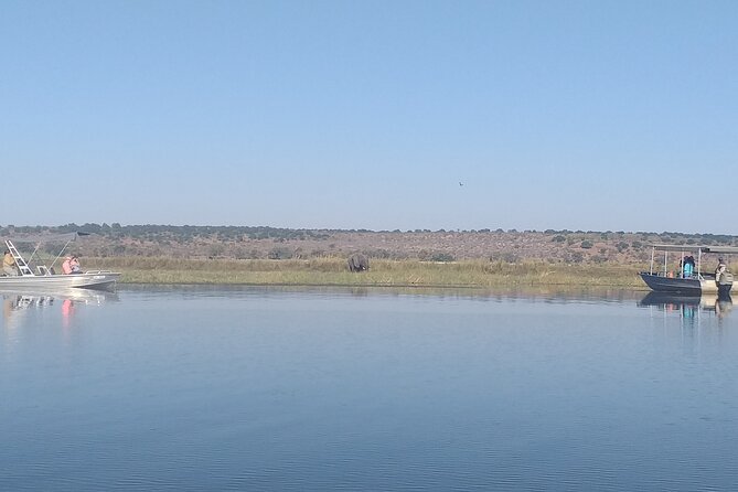Chobe Botswana Full-Day Trip - Why Chobe makes a worthwhile day trip from Victoria Falls
