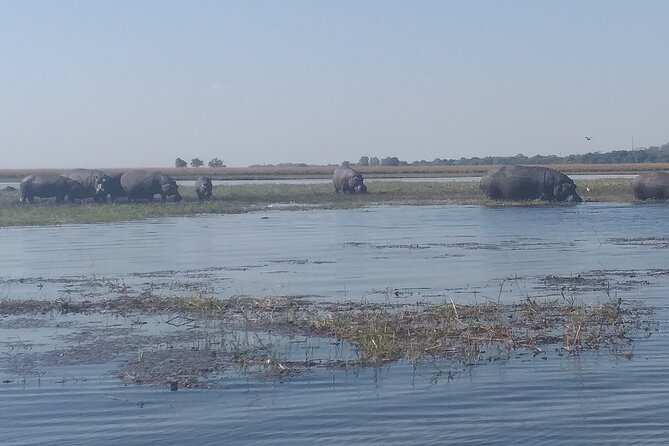 Chobe Botswana Full-Day Trip - Crossing into Botswana and entering Chobe