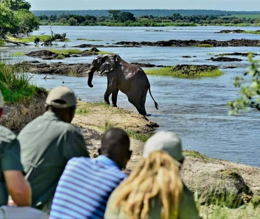 Chobe Day Trip - From Vic Falls - With Lunch (Buffet) - Should you book the Chobe day trip?