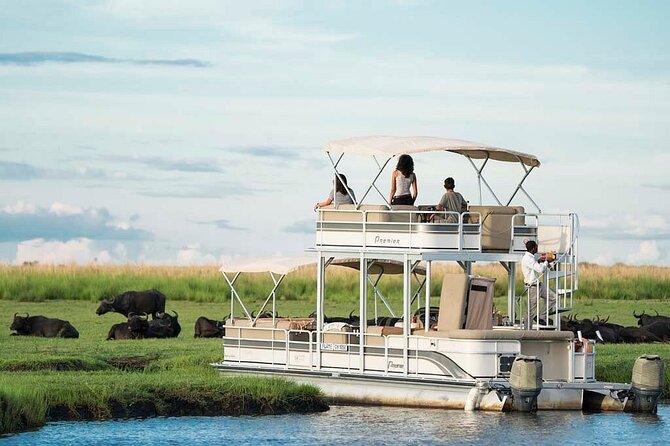 Chobe Day Trip From Victoria Falls Zimbabwe - Clothes, comfort, and practical packing