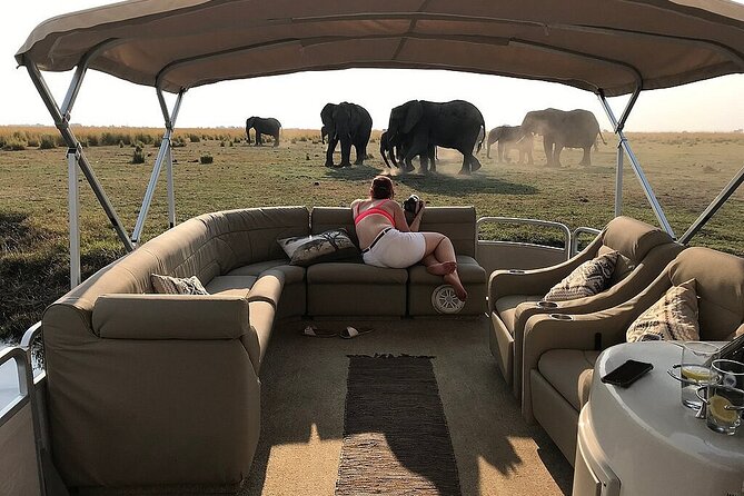 Chobe Day Trip From Victoria Falls Zimbabwe - Who should book this Chobe day trip?