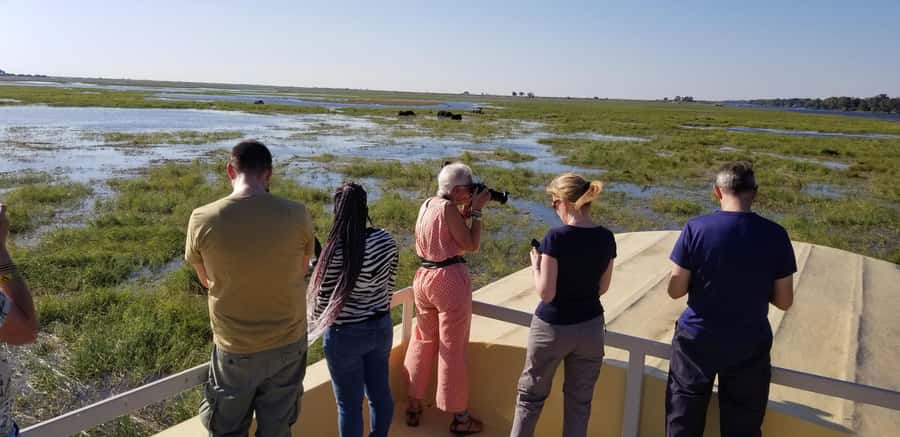 Chobe Day Trip from Victoria Falls, Zimbabwe - The value of $170 per person